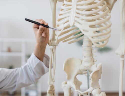 ECM – Kroppens glemte helt, der holder dig samlet