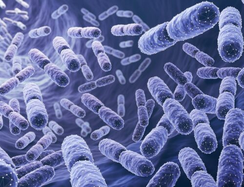 De gode bakterier, der styrker dit barns sundhed